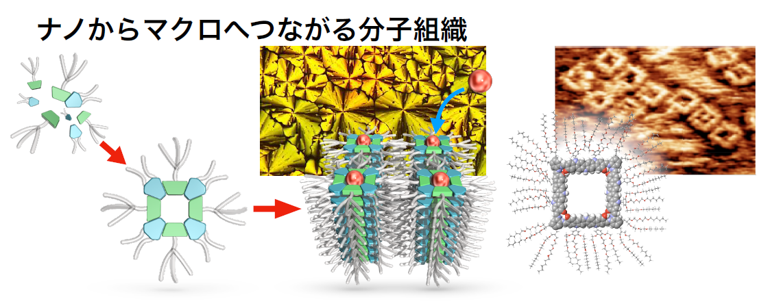 ナノからマクロへつながる分子組織 - 田中研究室 名古屋大学 大学院